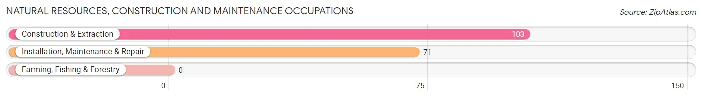 Natural Resources, Construction and Maintenance Occupations in Zip Code 32764