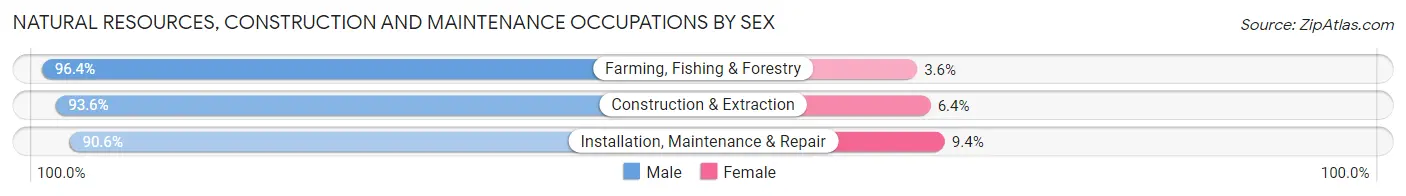 Natural Resources, Construction and Maintenance Occupations by Sex in Zip Code 32771