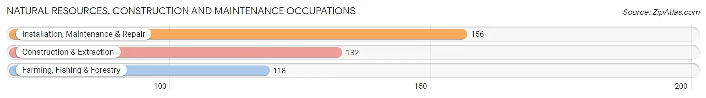 Natural Resources, Construction and Maintenance Occupations in Zip Code 32776