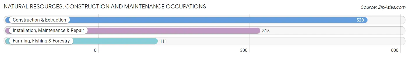 Natural Resources, Construction and Maintenance Occupations in Zip Code 32778