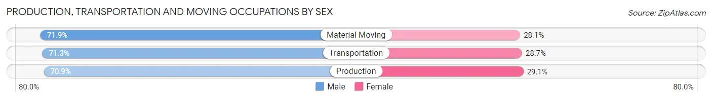 Production, Transportation and Moving Occupations by Sex in Zip Code 32806