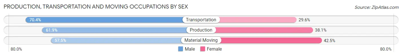 Production, Transportation and Moving Occupations by Sex in Zip Code 32809