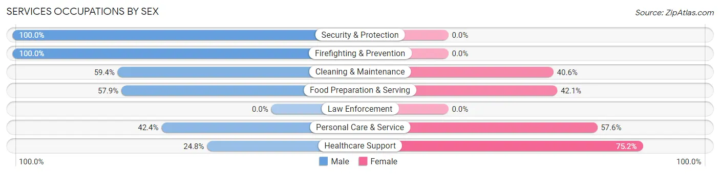 Services Occupations by Sex in Zip Code 32809