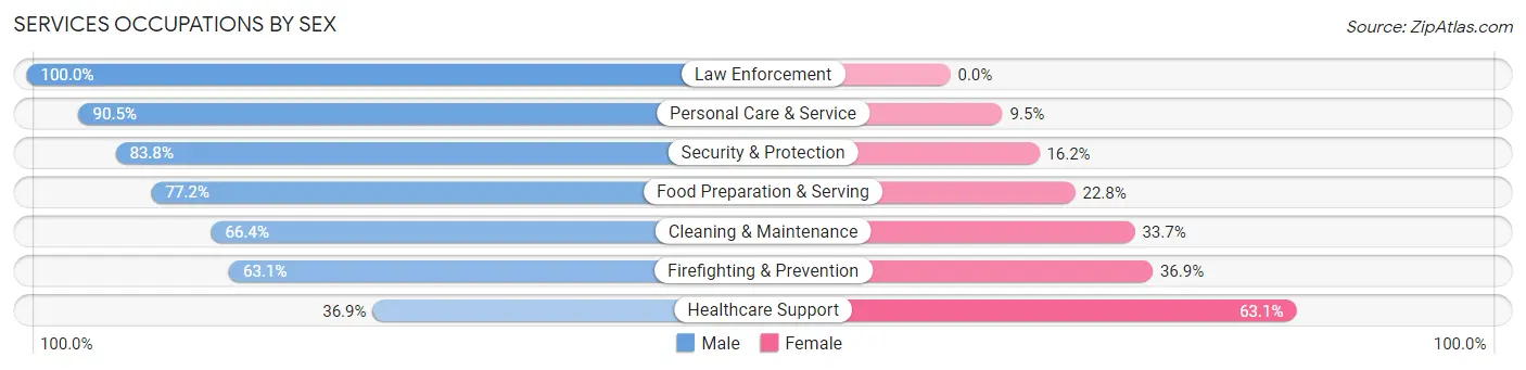 Services Occupations by Sex in Zip Code 32820