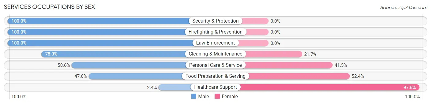 Services Occupations by Sex in Zip Code 32826