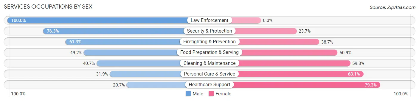 Services Occupations by Sex in Zip Code 32828