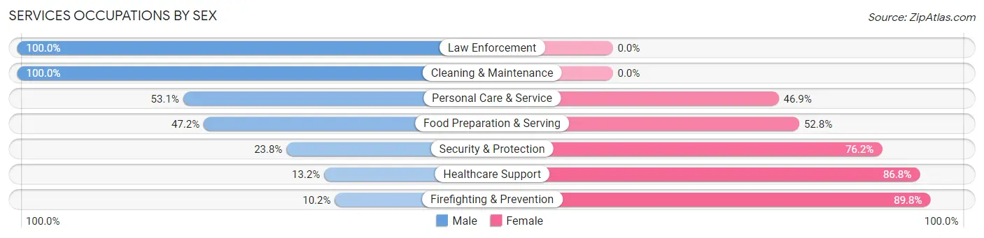 Services Occupations by Sex in Zip Code 32833