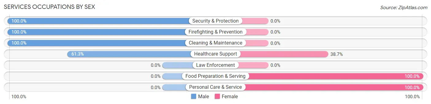 Services Occupations by Sex in Zip Code 32951