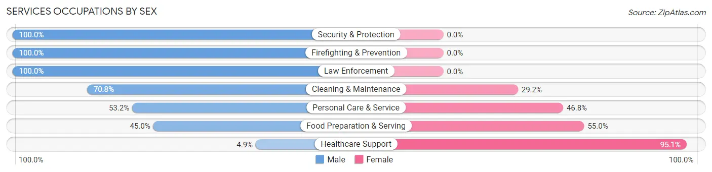Services Occupations by Sex in Zip Code 32967