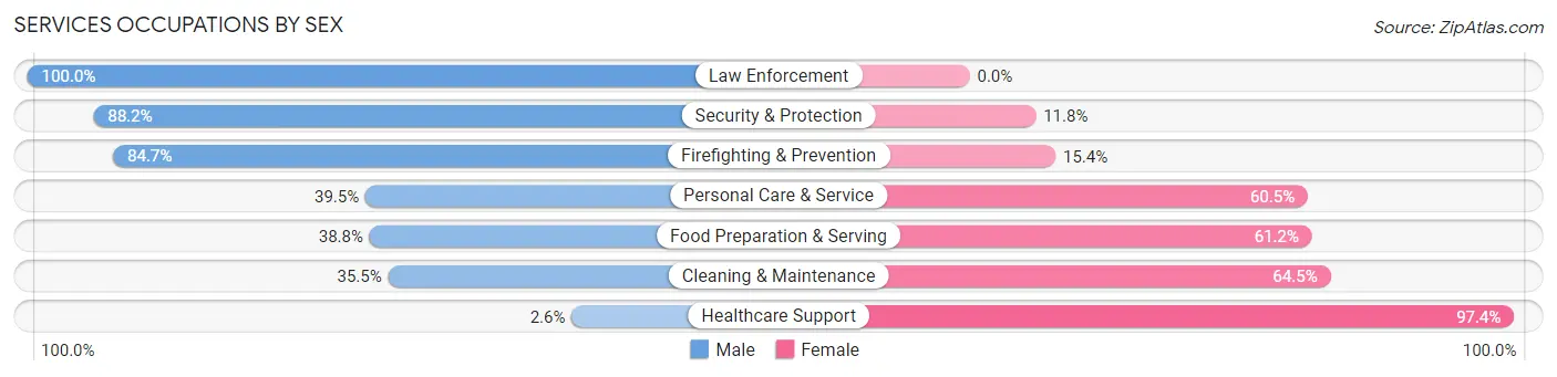 Services Occupations by Sex in Zip Code 33013