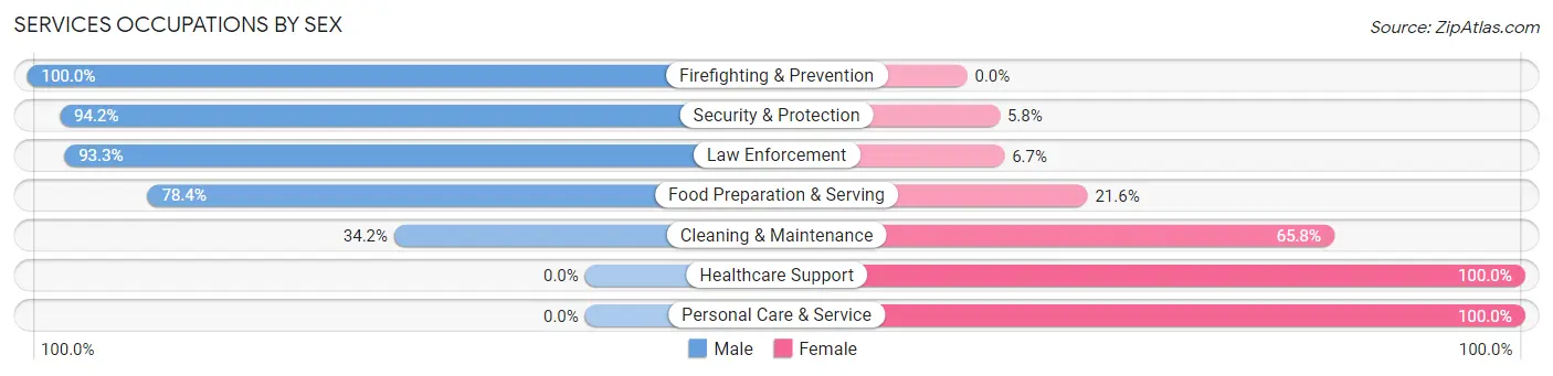 Services Occupations by Sex in Zip Code 33031