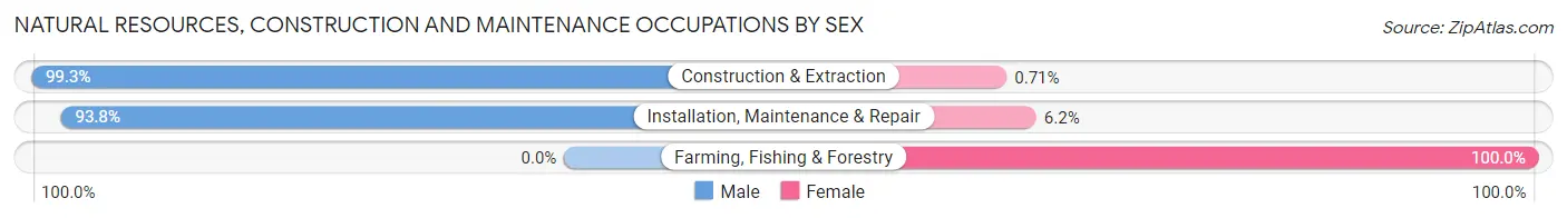 Natural Resources, Construction and Maintenance Occupations by Sex in Zip Code 33032
