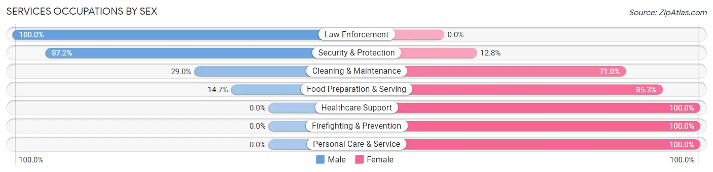 Services Occupations by Sex in Zip Code 33043