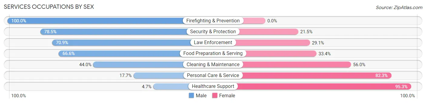 Services Occupations by Sex in Zip Code 33062