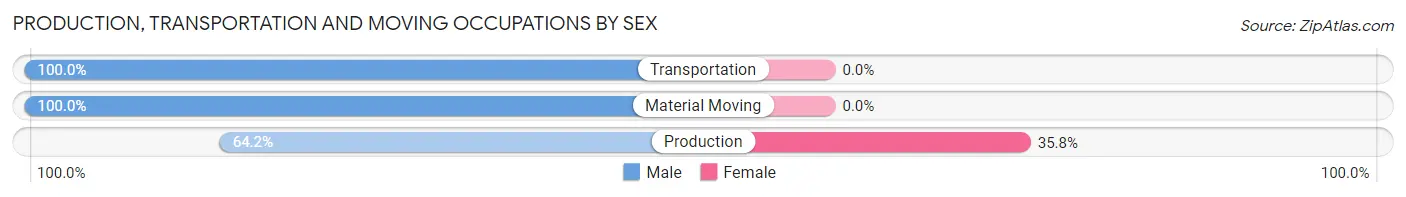 Production, Transportation and Moving Occupations by Sex in Zip Code 33070