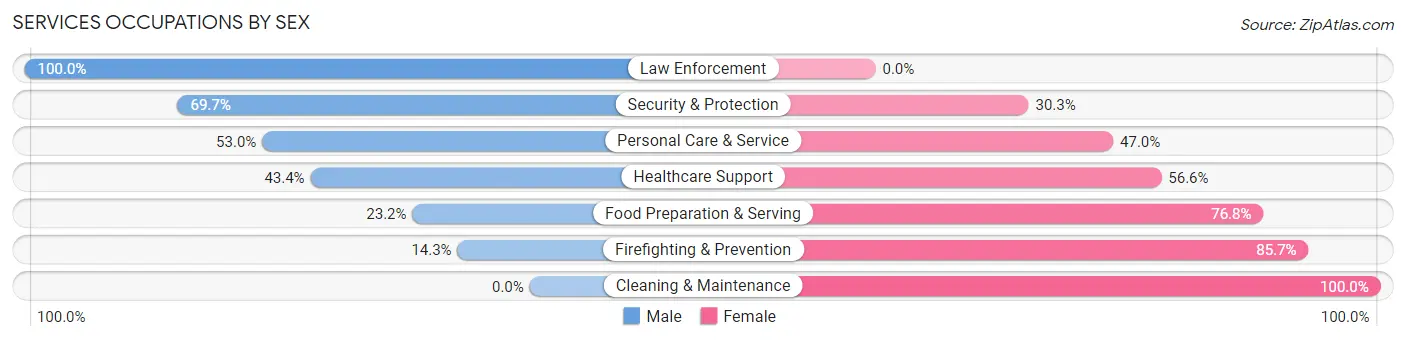 Services Occupations by Sex in Zip Code 33129