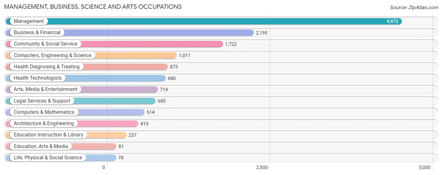 Management, Business, Science and Arts Occupations in Zip Code 33131