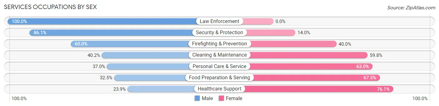 Services Occupations by Sex in Zip Code 33131