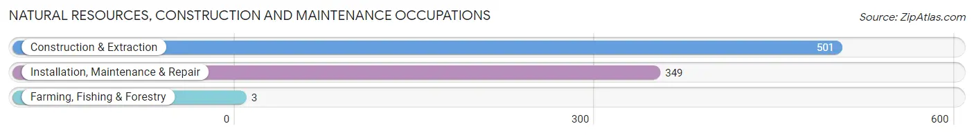 Natural Resources, Construction and Maintenance Occupations in Zip Code 33133