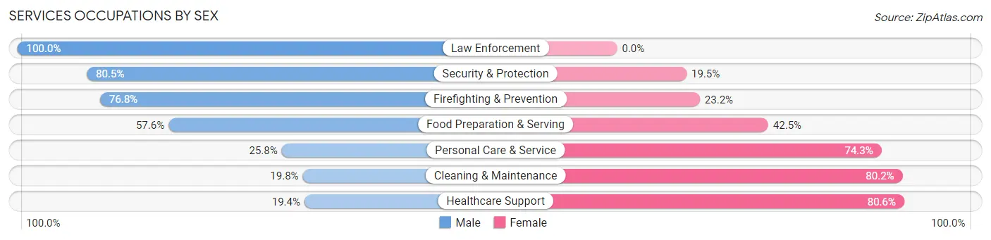 Services Occupations by Sex in Zip Code 33135
