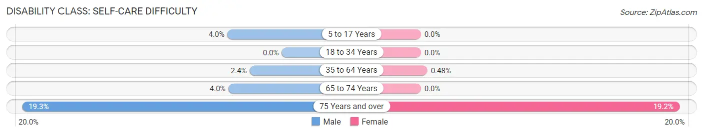 Disability in Zip Code 33137: <span>Self-Care Difficulty</span>