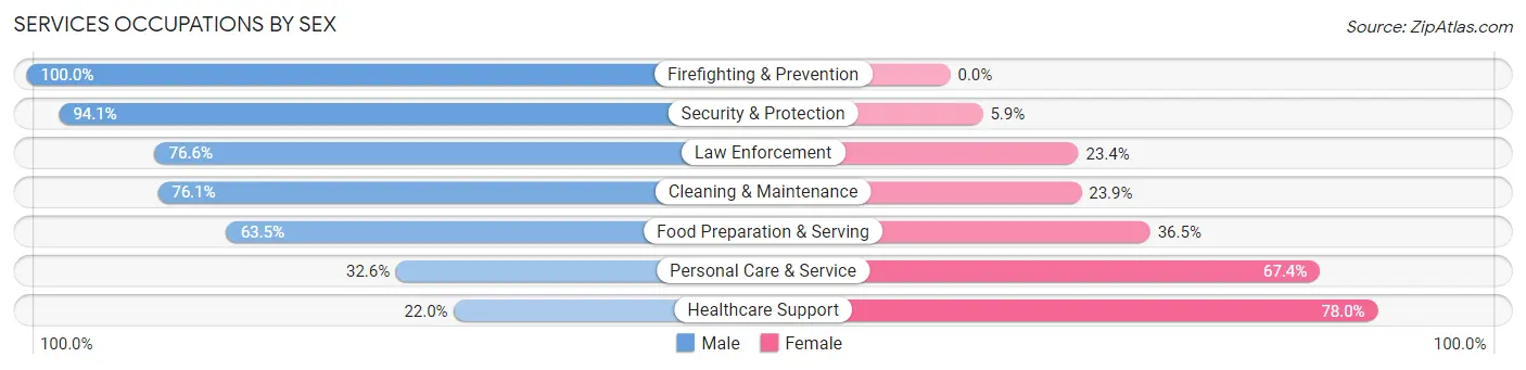 Services Occupations by Sex in Zip Code 33138
