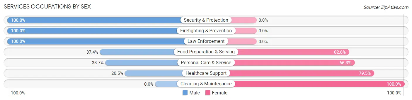 Services Occupations by Sex in Zip Code 33146