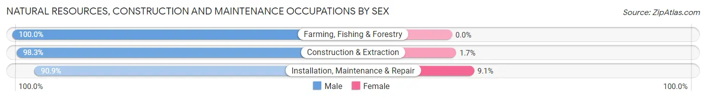 Natural Resources, Construction and Maintenance Occupations by Sex in Zip Code 33155