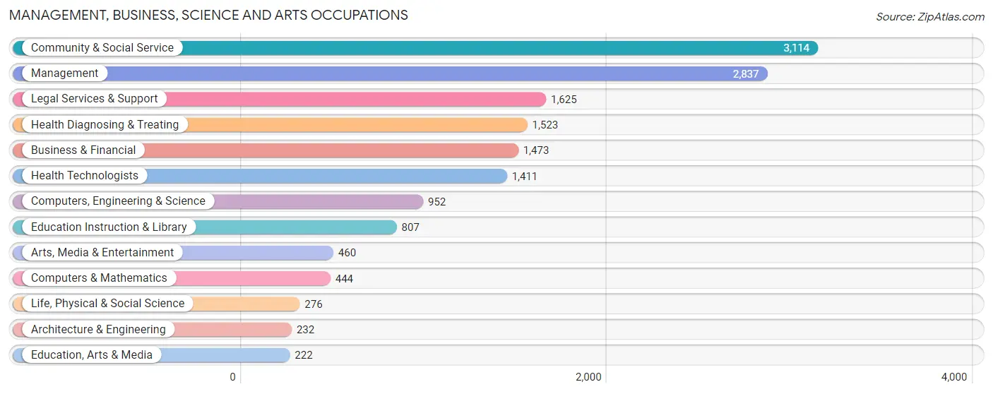 Management, Business, Science and Arts Occupations in Zip Code 33156