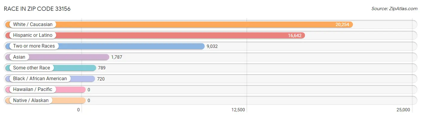Race in Zip Code 33156