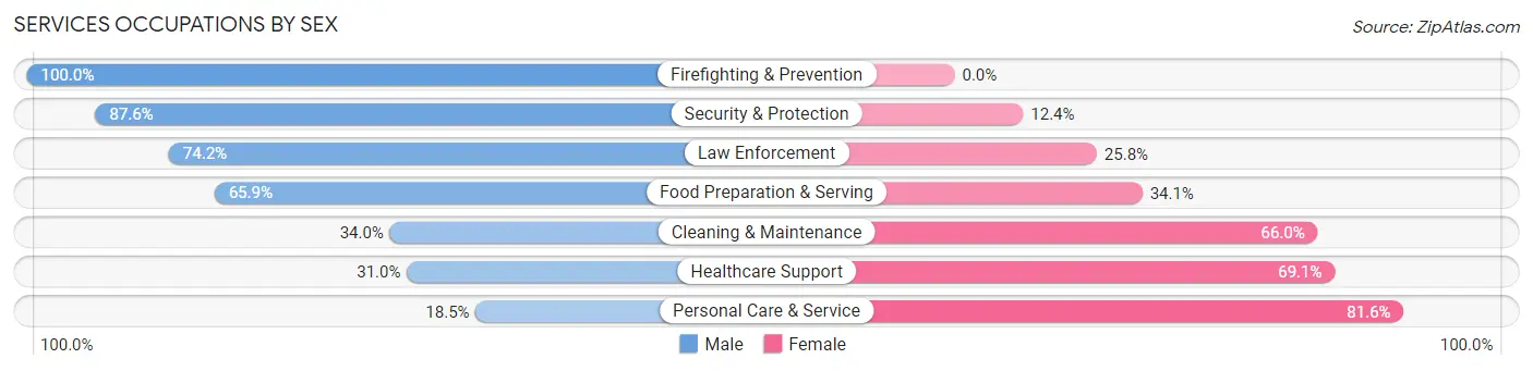 Services Occupations by Sex in Zip Code 33156