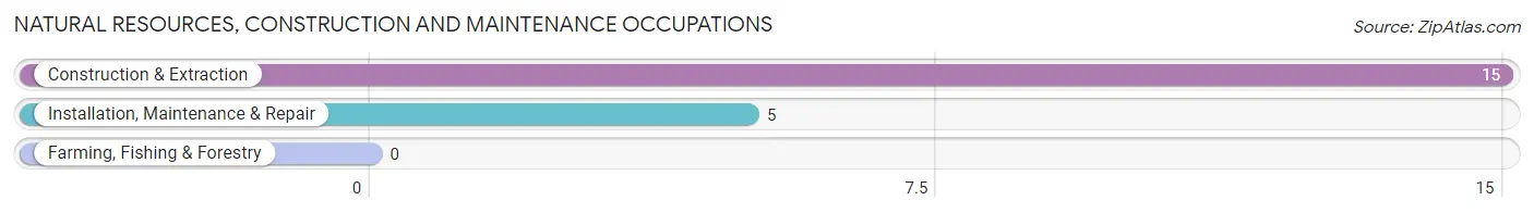 Natural Resources, Construction and Maintenance Occupations in Zip Code 33158