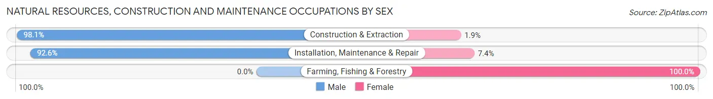 Natural Resources, Construction and Maintenance Occupations by Sex in Zip Code 33166