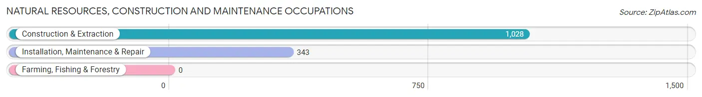 Natural Resources, Construction and Maintenance Occupations in Zip Code 33167