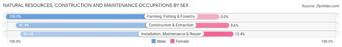 Natural Resources, Construction and Maintenance Occupations by Sex in Zip Code 33172