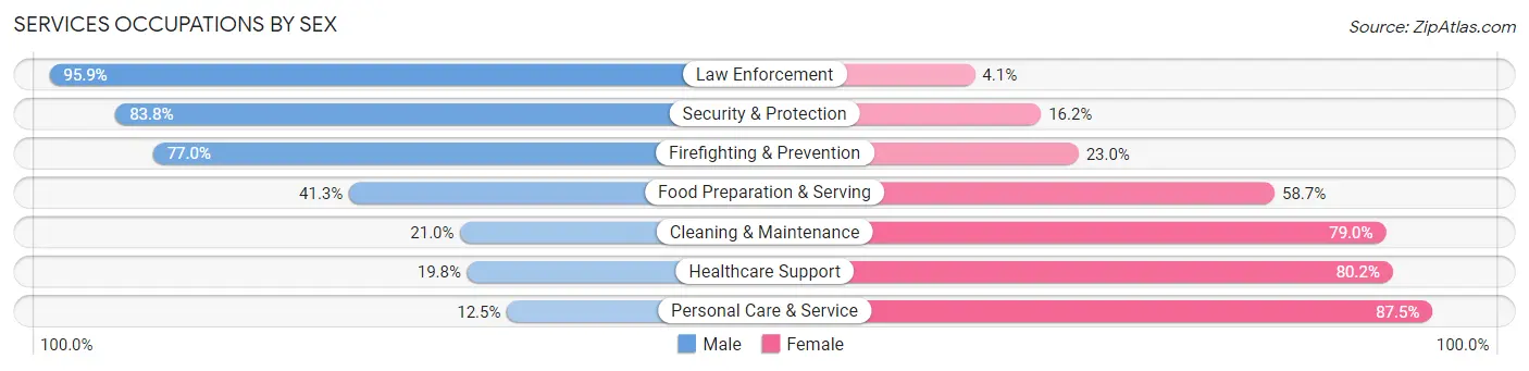 Services Occupations by Sex in Zip Code 33172