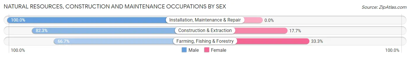 Natural Resources, Construction and Maintenance Occupations by Sex in Zip Code 33173