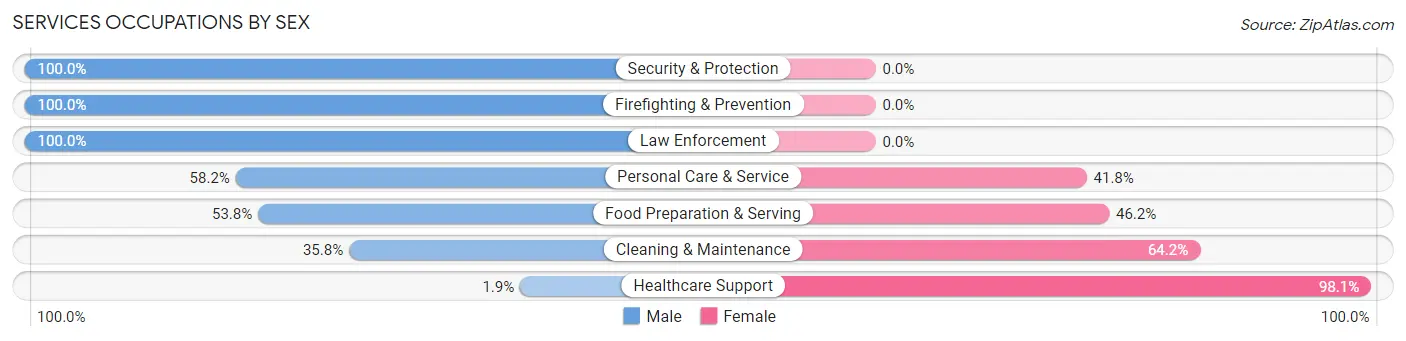 Services Occupations by Sex in Zip Code 33173