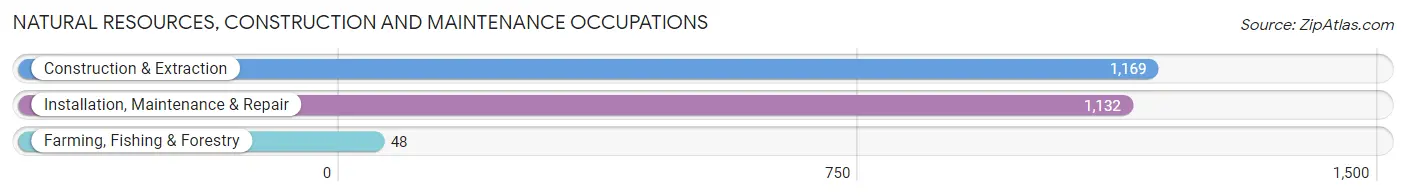 Natural Resources, Construction and Maintenance Occupations in Zip Code 33176