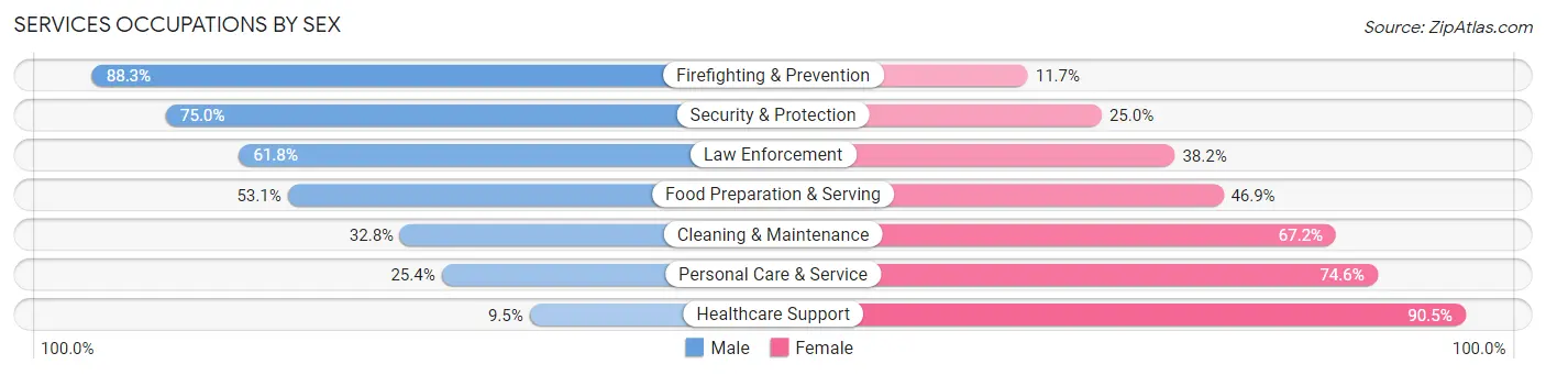 Services Occupations by Sex in Zip Code 33176