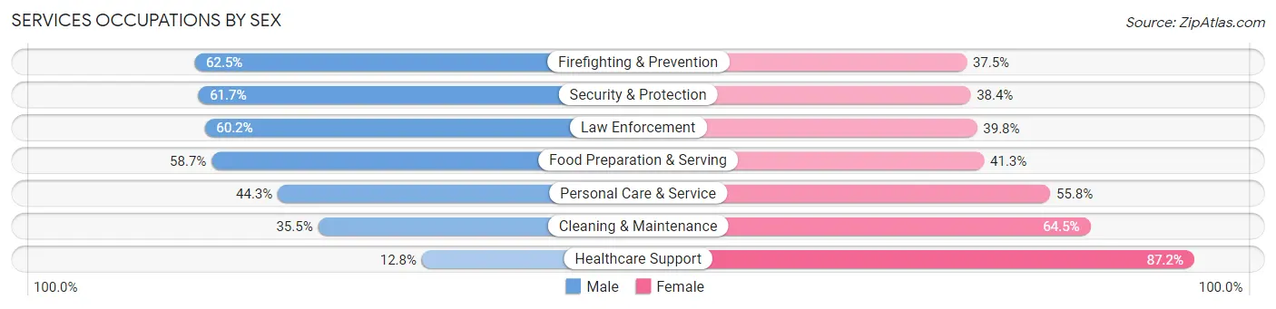 Services Occupations by Sex in Zip Code 33179