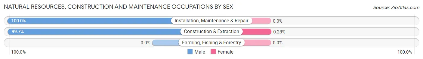Natural Resources, Construction and Maintenance Occupations by Sex in Zip Code 33180