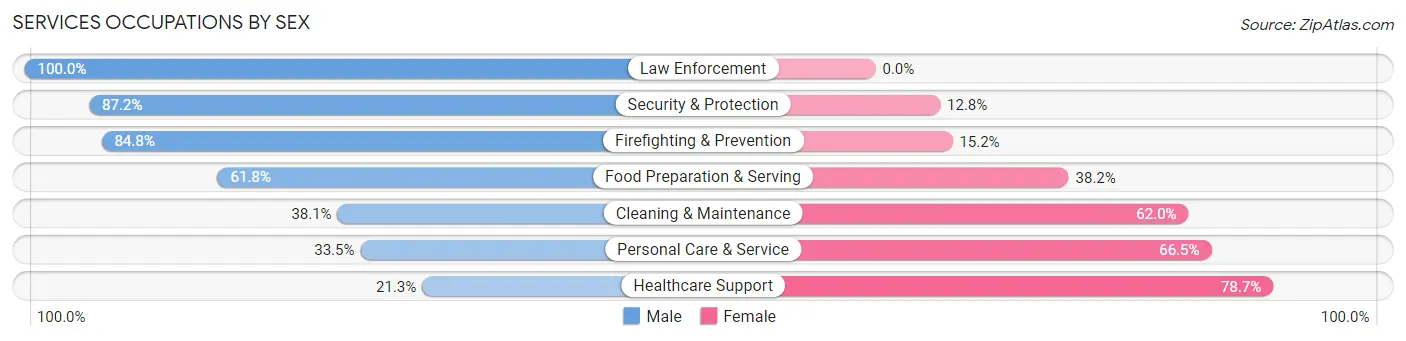 Services Occupations by Sex in Zip Code 33181