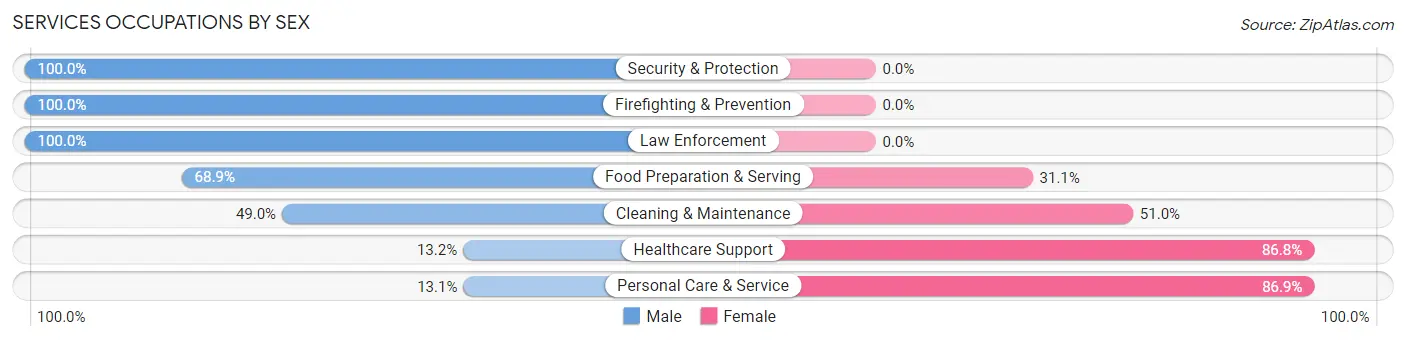 Services Occupations by Sex in Zip Code 33184