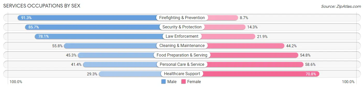 Services Occupations by Sex in Zip Code 33196