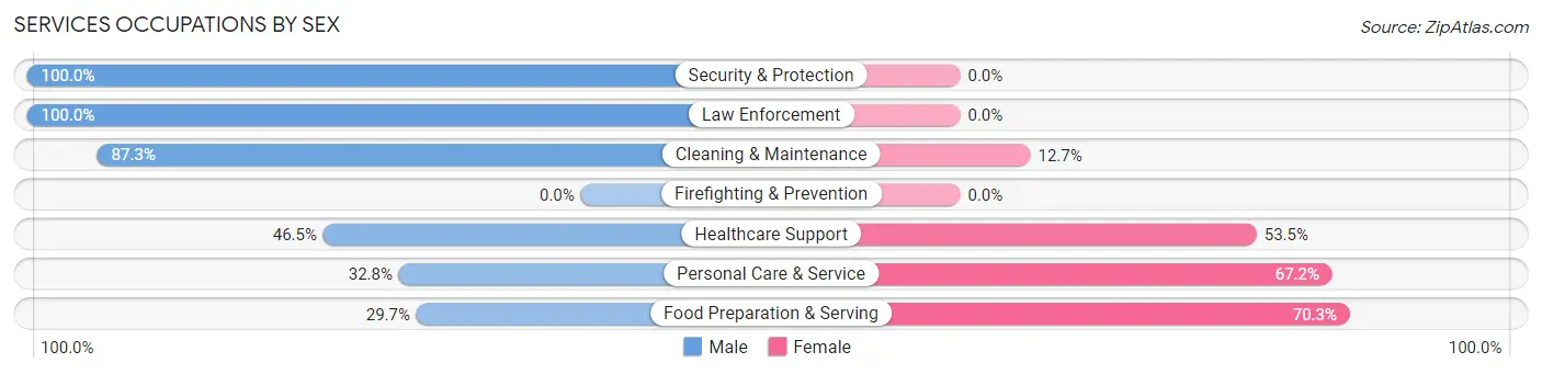 Services Occupations by Sex in Zip Code 33305