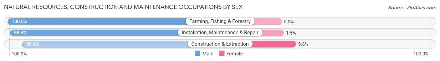 Natural Resources, Construction and Maintenance Occupations by Sex in Zip Code 33312
