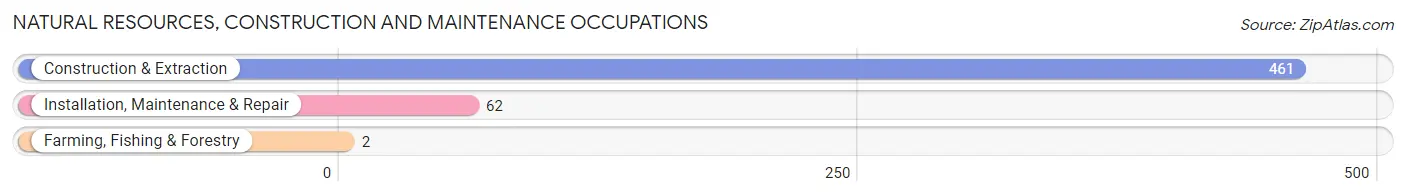 Natural Resources, Construction and Maintenance Occupations in Zip Code 33413