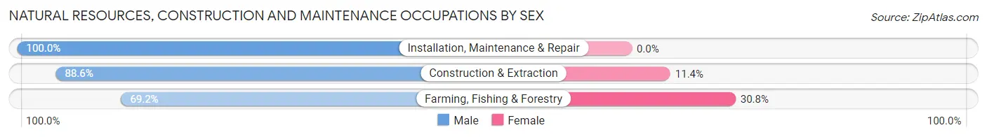 Natural Resources, Construction and Maintenance Occupations by Sex in Zip Code 33434