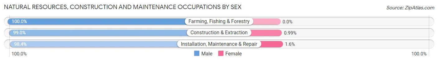 Natural Resources, Construction and Maintenance Occupations by Sex in Zip Code 33467
